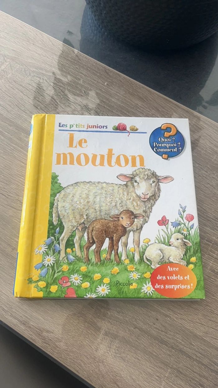 Les p’tits juniors le mouton