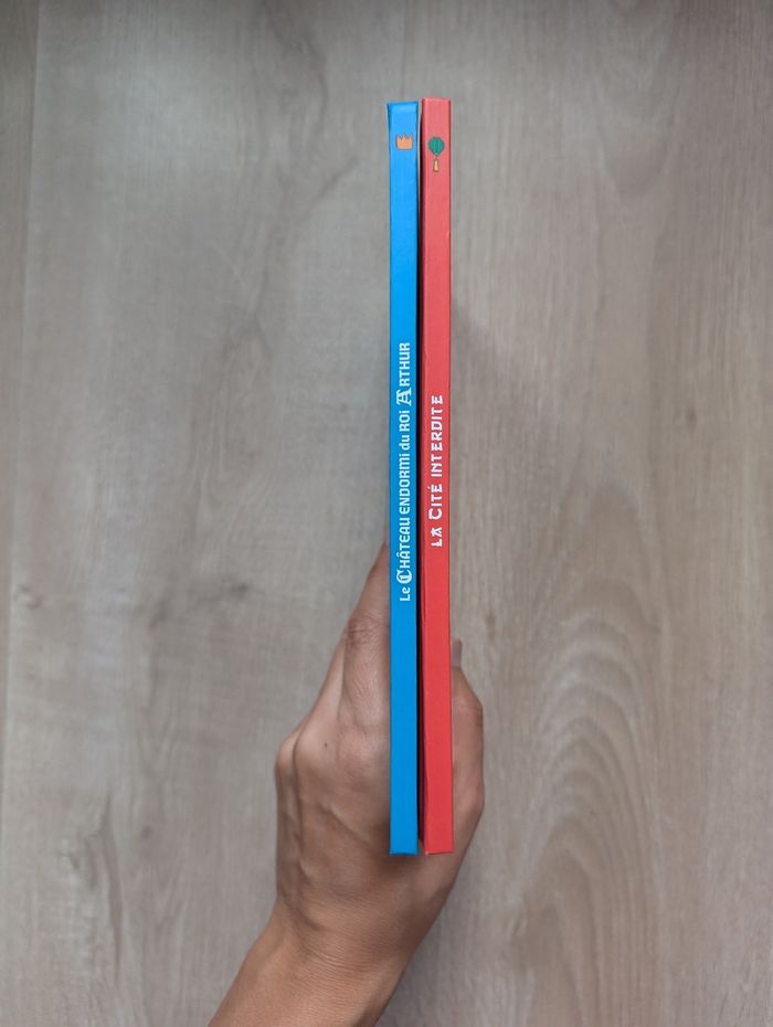 Lot  livres Le super Club des mini aventuriers - photo numéro 3