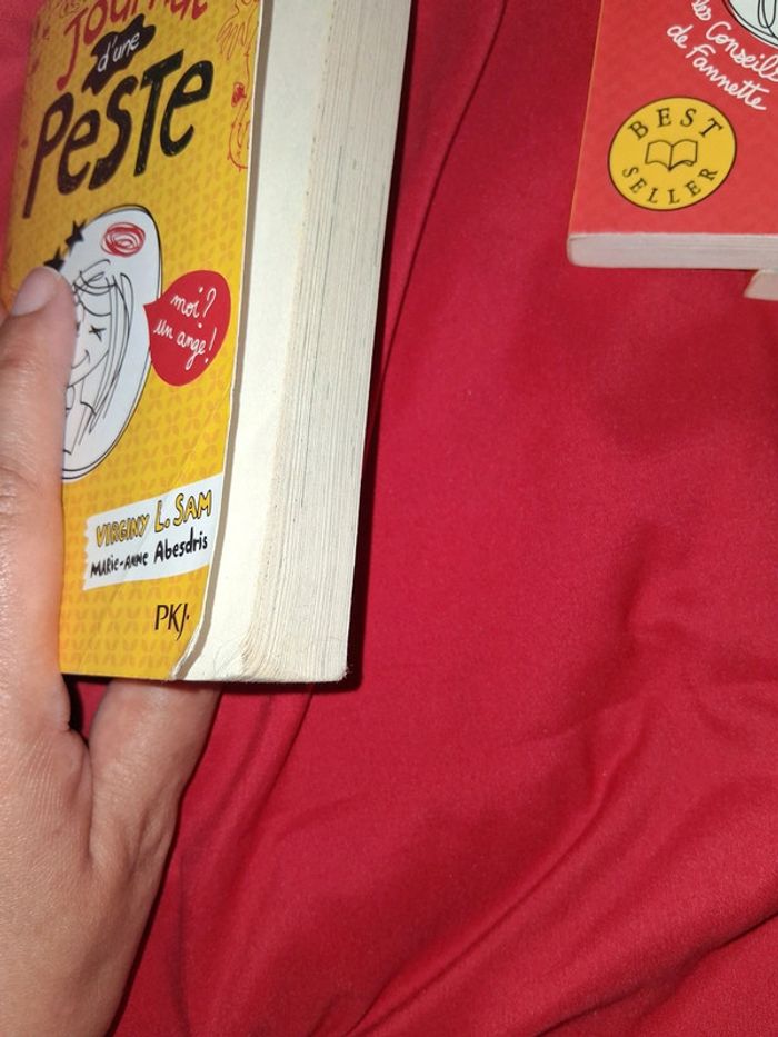 Journal d’une Peste - photo numéro 5