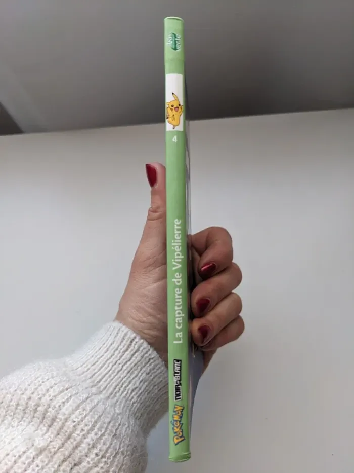 Livre Pokémon - photo numéro 3