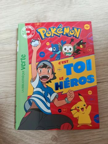 Pokémon c'est toi le héros