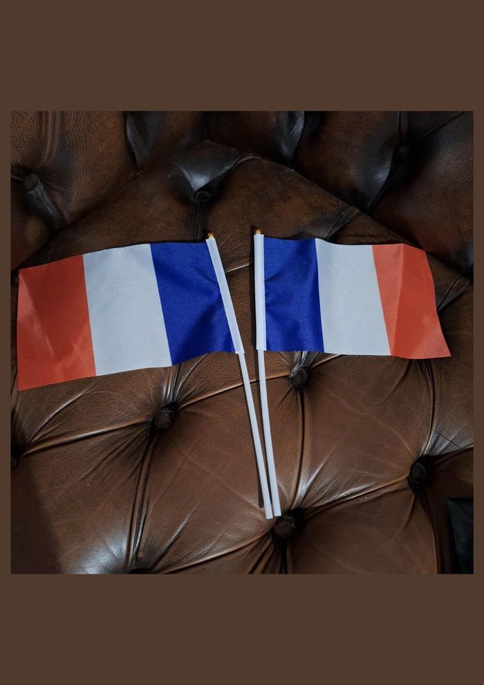 Pack Drapeaux France 1 Grand Format + 2 Mini Drapeaux à Main - photo numéro 6