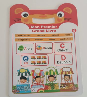 Mon premier grand livre