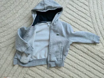 Veste lacoste gris
