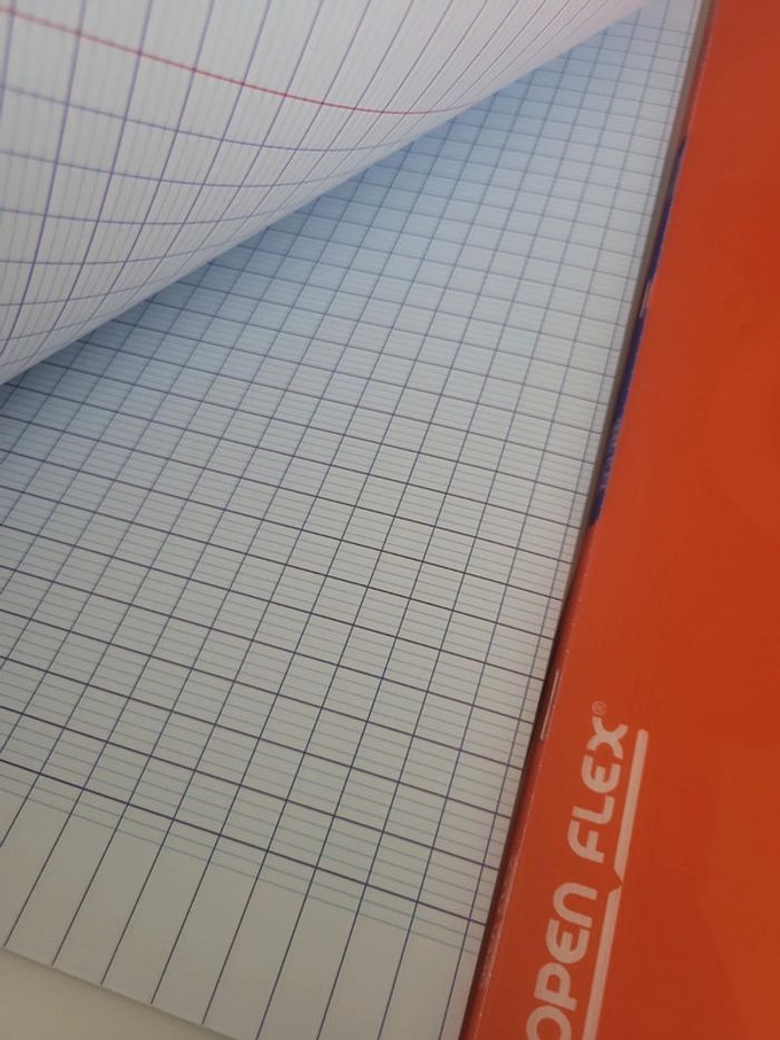 Lot 2 cahiers oxford open flex 24x32 - photo numéro 2