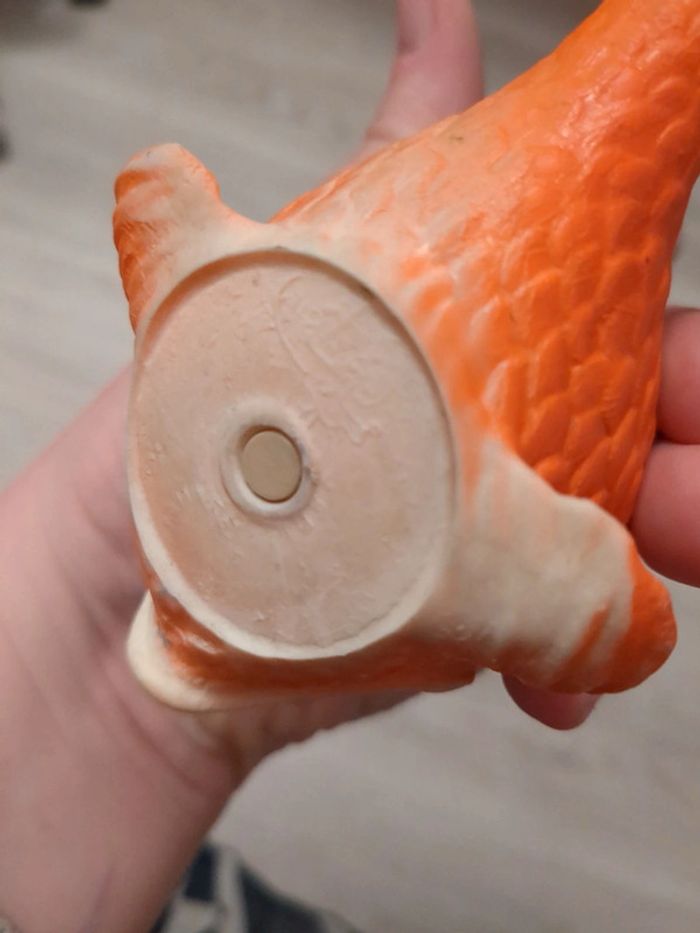 Poisson - photo numéro 8