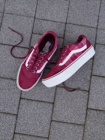 Baskets basses Vans - wardplat - bordeaux