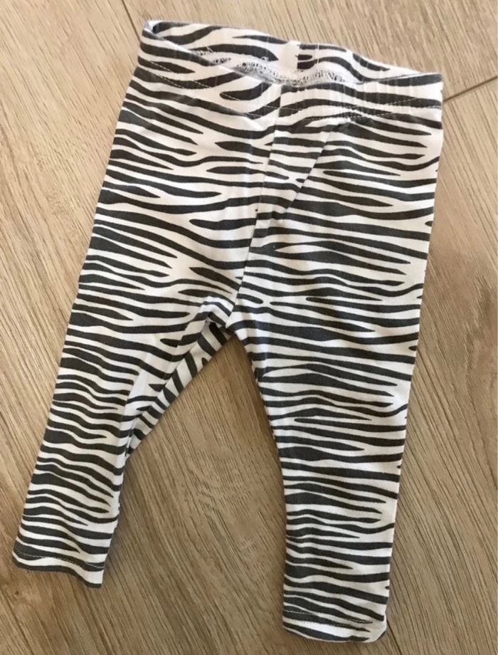 Ensemble zèbre 🦓 - photo numéro 3