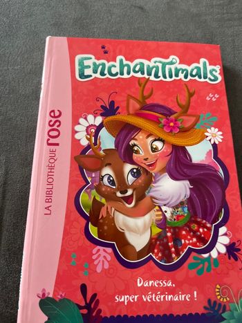 Livre bibliothèque rose enchantimals tome 2
