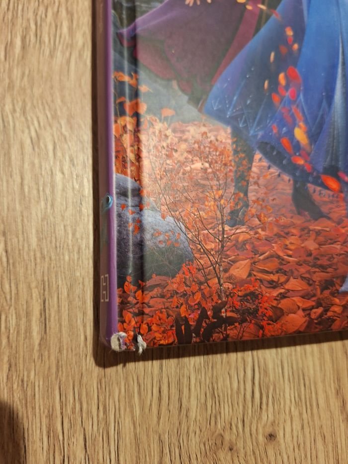 Livre reine des neiges 2 - photo numéro 3