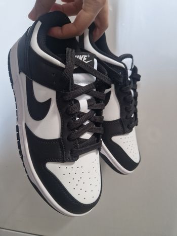 Nike dunk 38