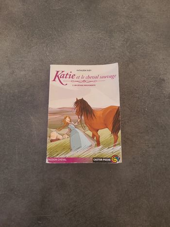Livre Katie et le cheval sauvage