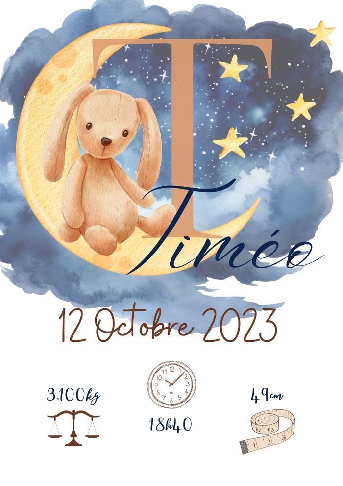 affiche naissance personnalisé - photo numéro 2
