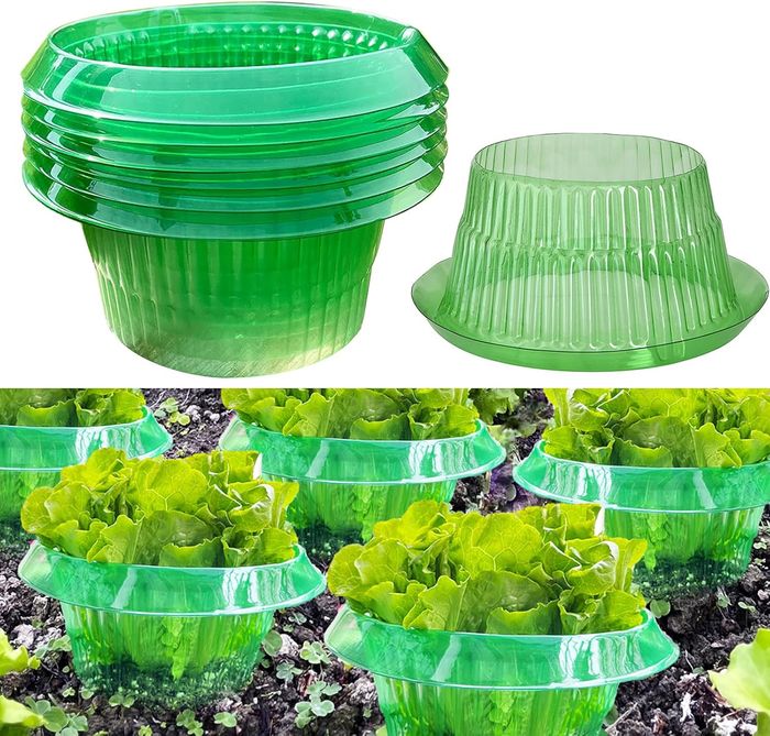 Lot de 24 colliers anti limaces et escargots sans produits chimiques