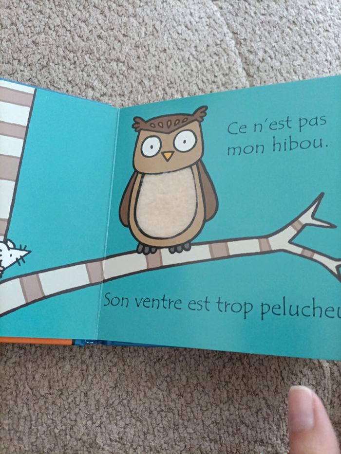 Livre Les tout doux Usborne : où est mon hibou ? 🦉 - photo numéro 8