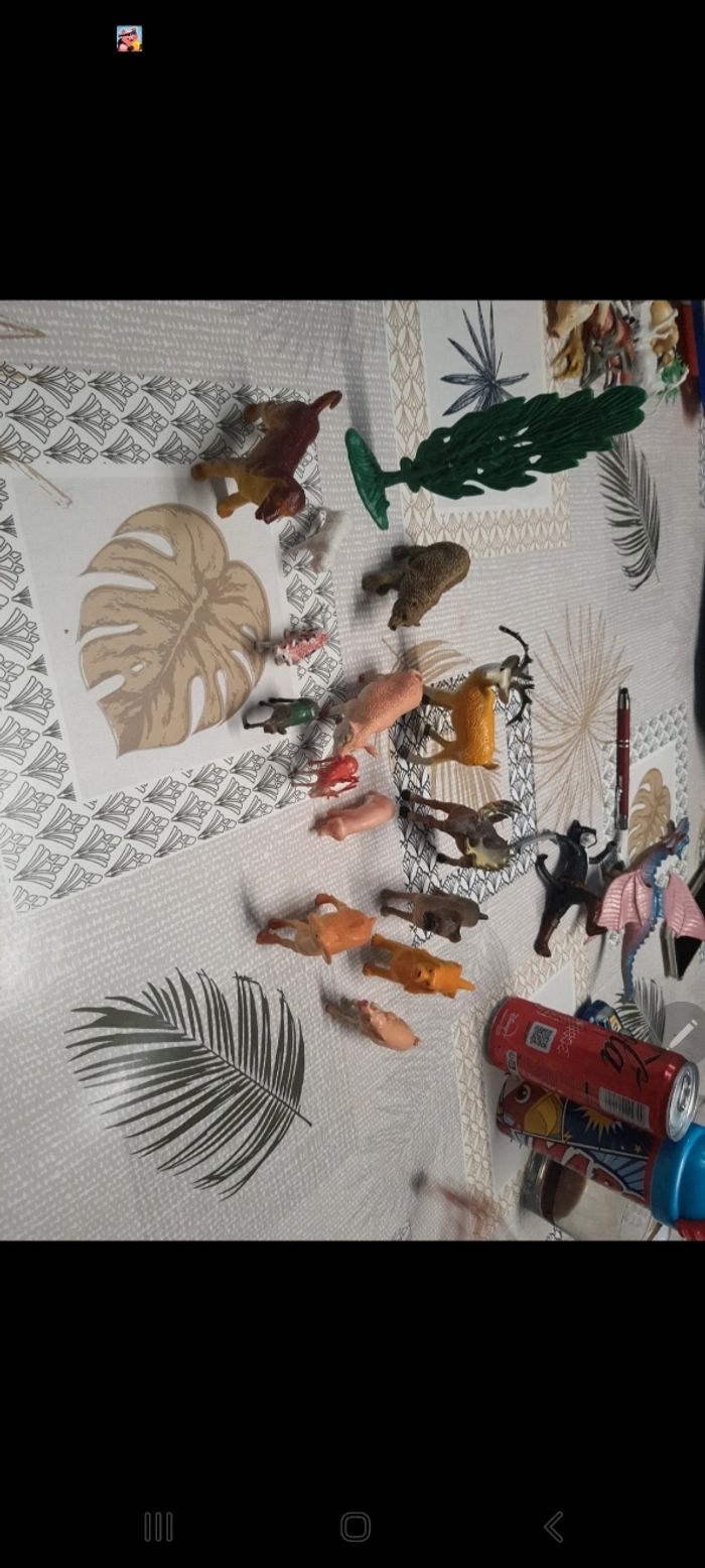 Animaux - photo numéro 7