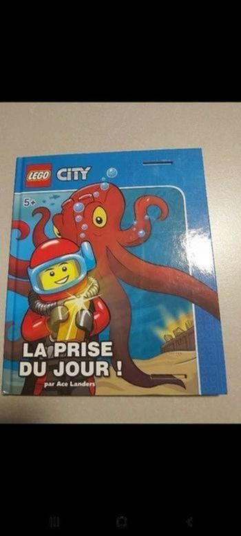 Lego city La prise du jour
