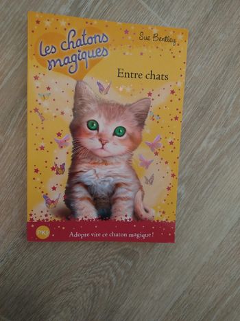 Livre Les chatons magiques  Entre chats