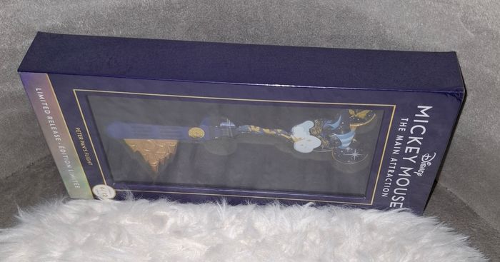 Cle disney attraction peter pan - photo numéro 6