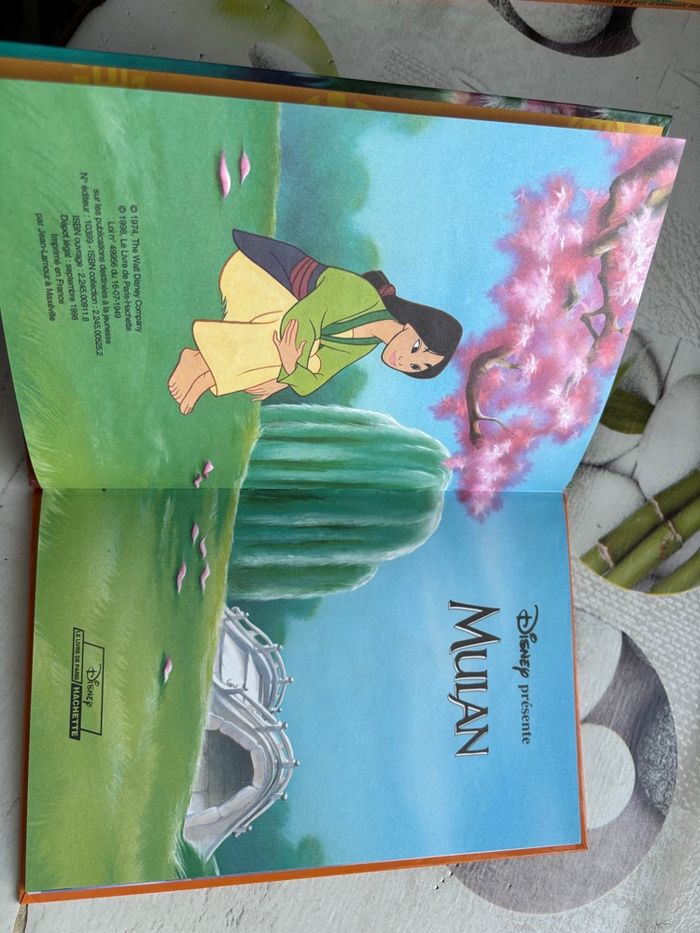 Livre Disney - photo numéro 2