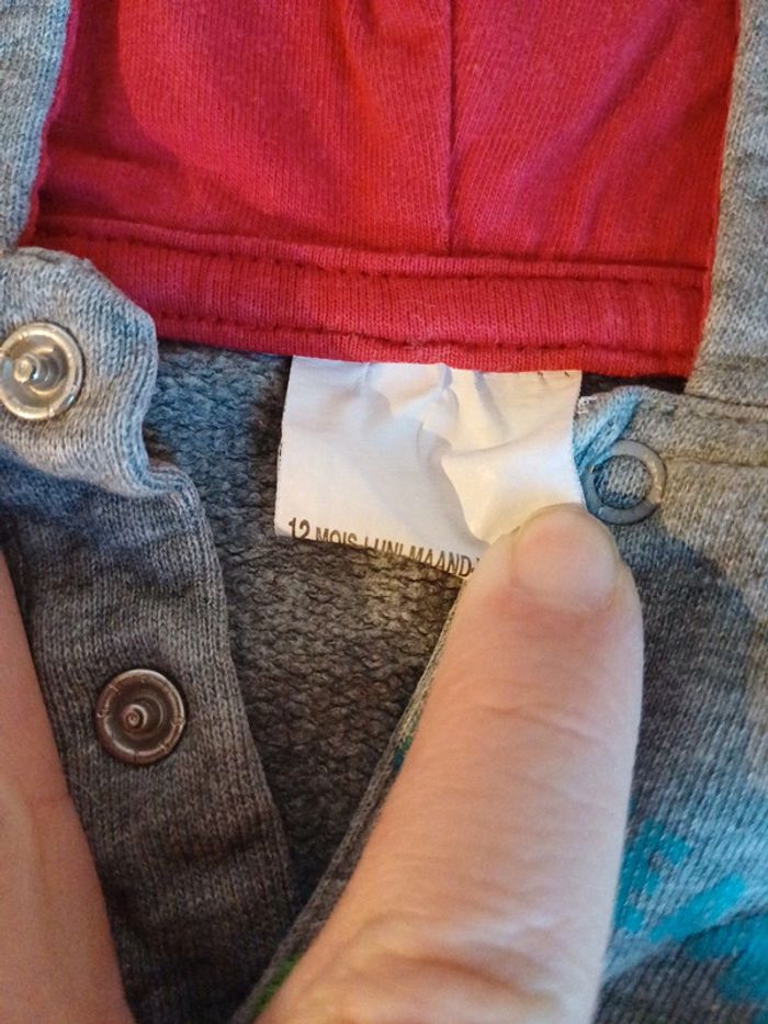 Sweat à capuche gris 12 mois - photo numéro 3