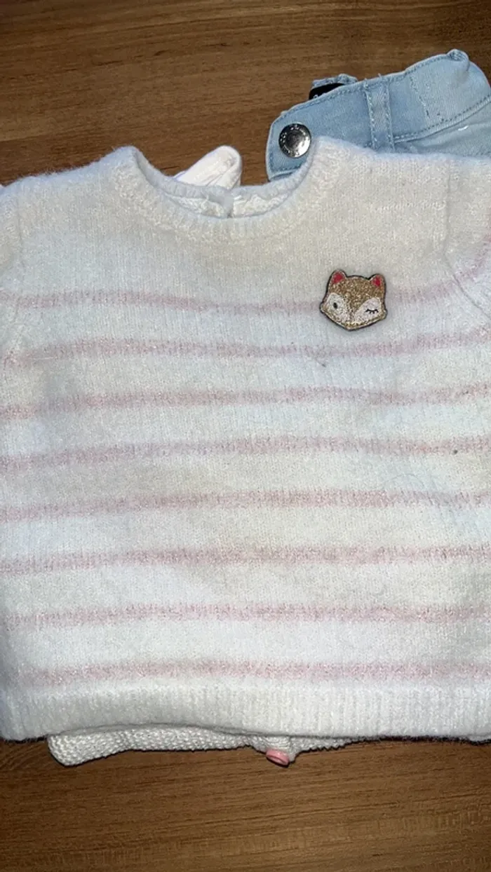 short primark/tee-shirt kiabi/gilet lulu castagnette 3 mois/pull gemo 6 mois offert (etat moyen) - photo numéro 14