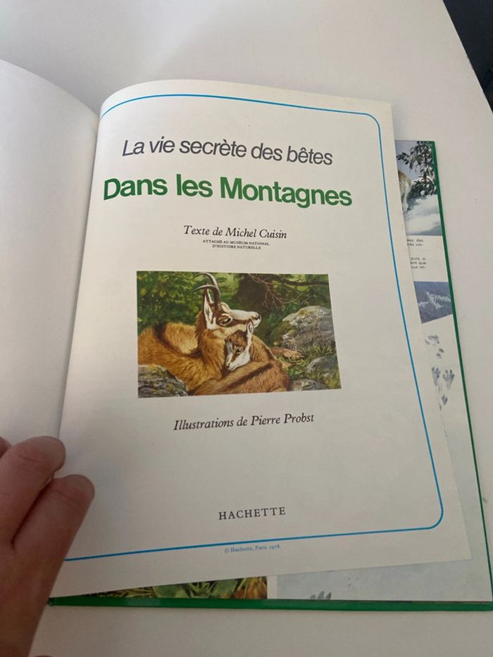 La vie secrete des betes dans les montagne - photo numéro 7