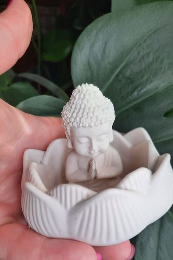 Bouddha et sa fleur de lotus