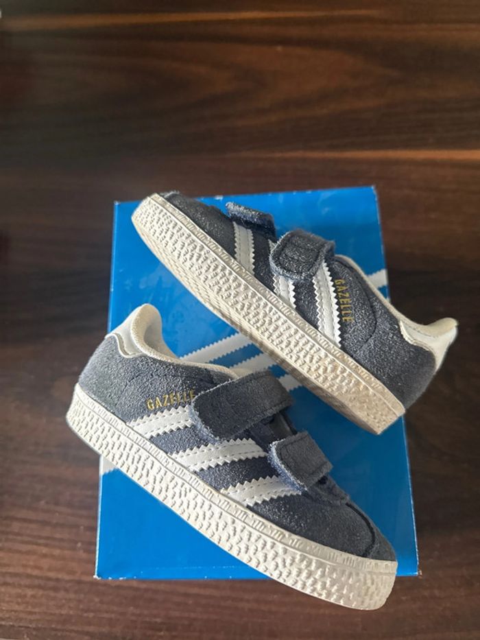 Paire de gazelle - photo numéro 7