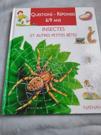 Insectes Questions -Réponses