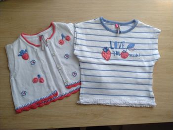 Ensemble tee shirt et gilet bébé fille 9 mois
