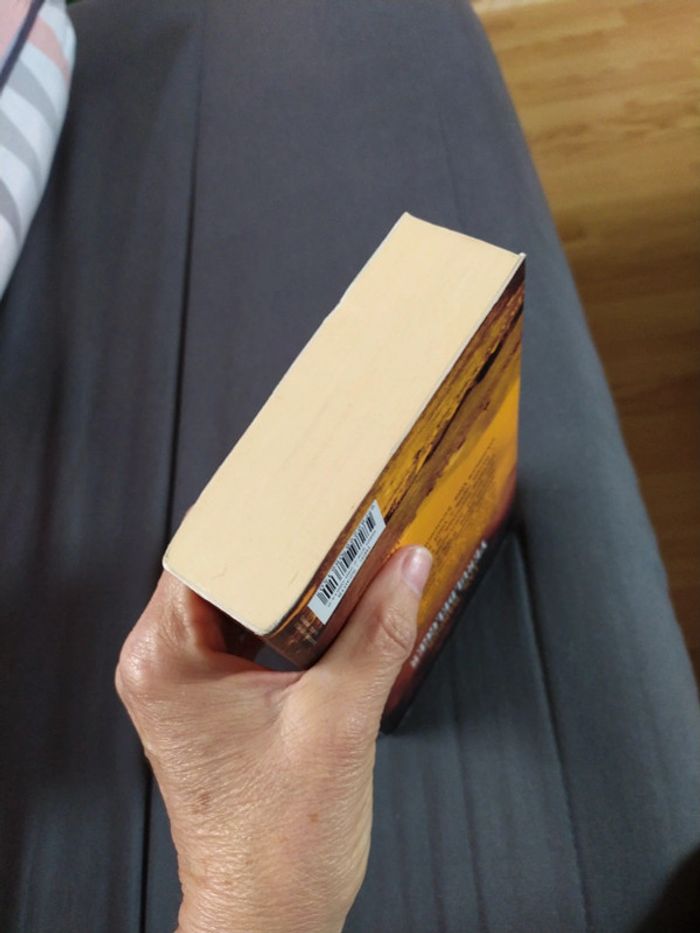 Yeruldelgger de Ian Manook - photo numéro 5