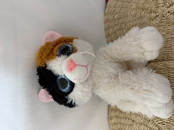 peluche chat isabelle toys compagny - doudou chat