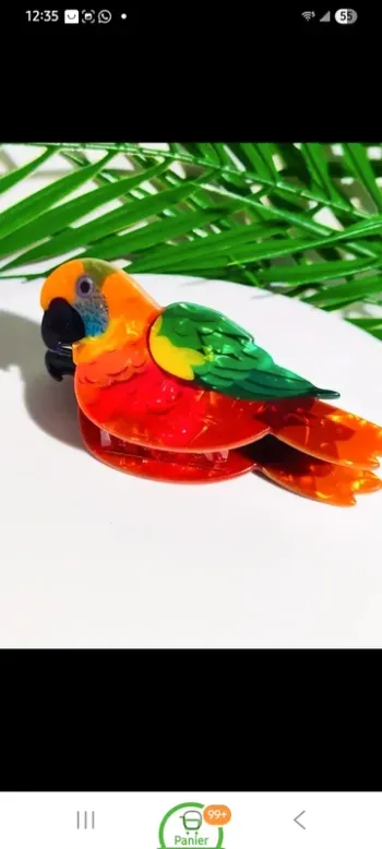 Pince a cheveux perroquet multicolore