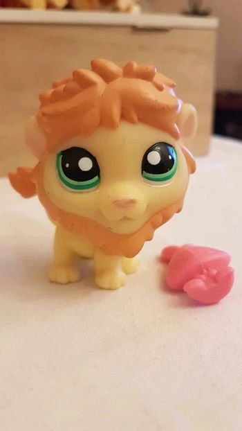 Lion petshop et son doudou
