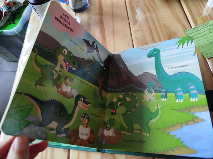 Mes premiers mots pour découvrir les dinosaures - photo numéro 6