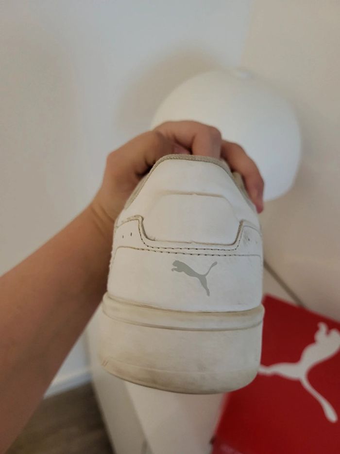 Baskets puma - photo numéro 10