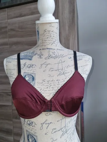 Soutien-gorge Prune 85B Etam