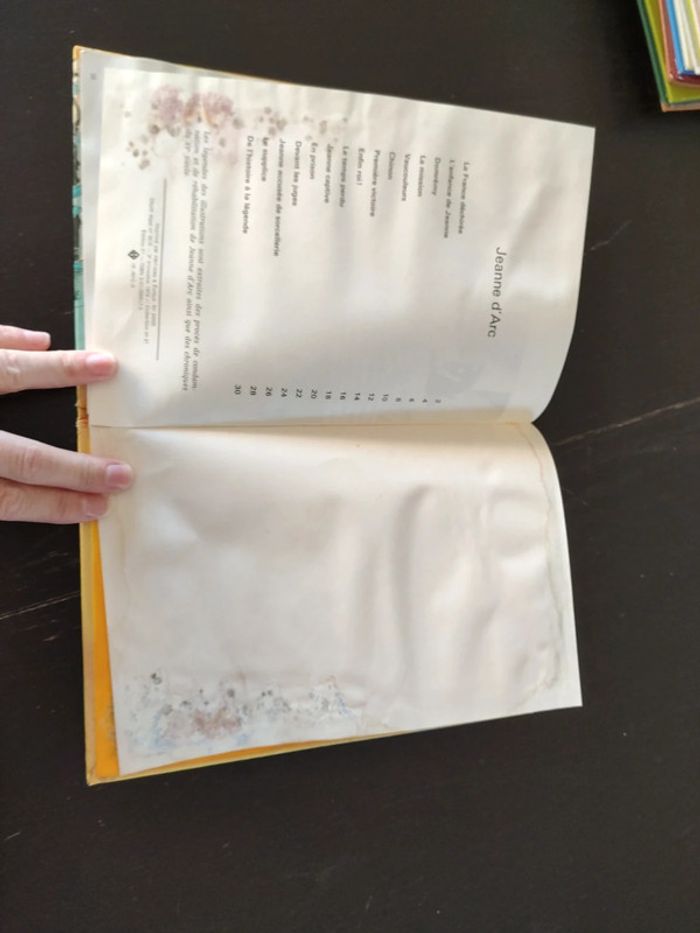 Jeanne d'Arc - photo numéro 6