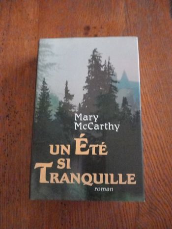 Livre : Un été si tranquille