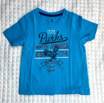 Tee-shirt garçon 3/4 ans, lupilu