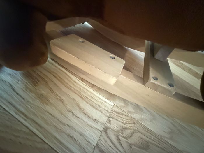 Chien a bascule oxybul - photo numéro 6