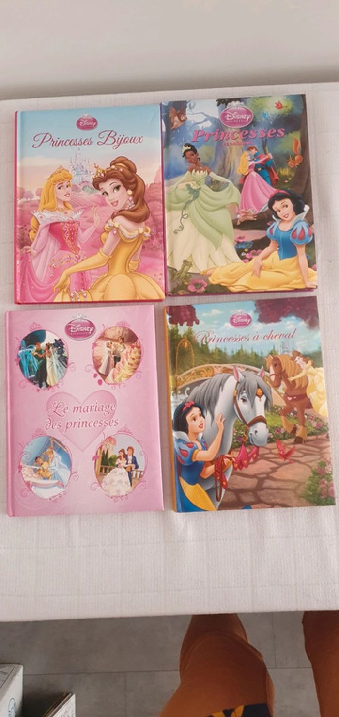 Livres Princesses Disney Idéal cadeau de Noel Cherche et Trouve et histoires - photo numéro 6