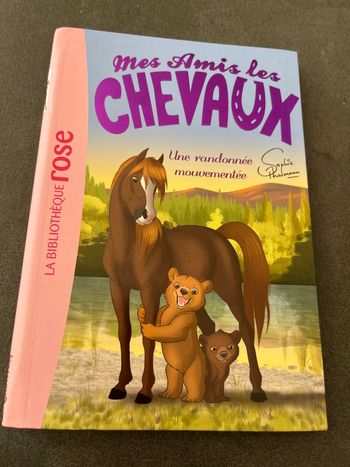 Livre bibliothèque rose mes amis les chevaux tome 5