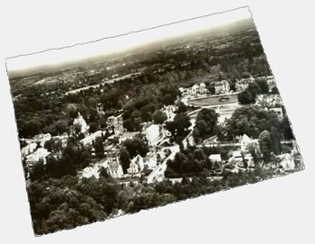 Carte postale ancienne  Bagnoles-de-l' Orne (Orne)  Vue aérienne