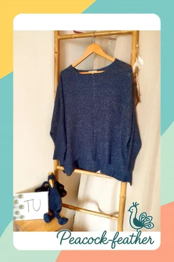 Pull bleu TU best mountain