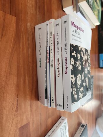 Lot de 5 Livres folio :