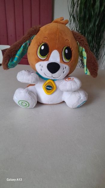 Pilou toutou parle avec moi