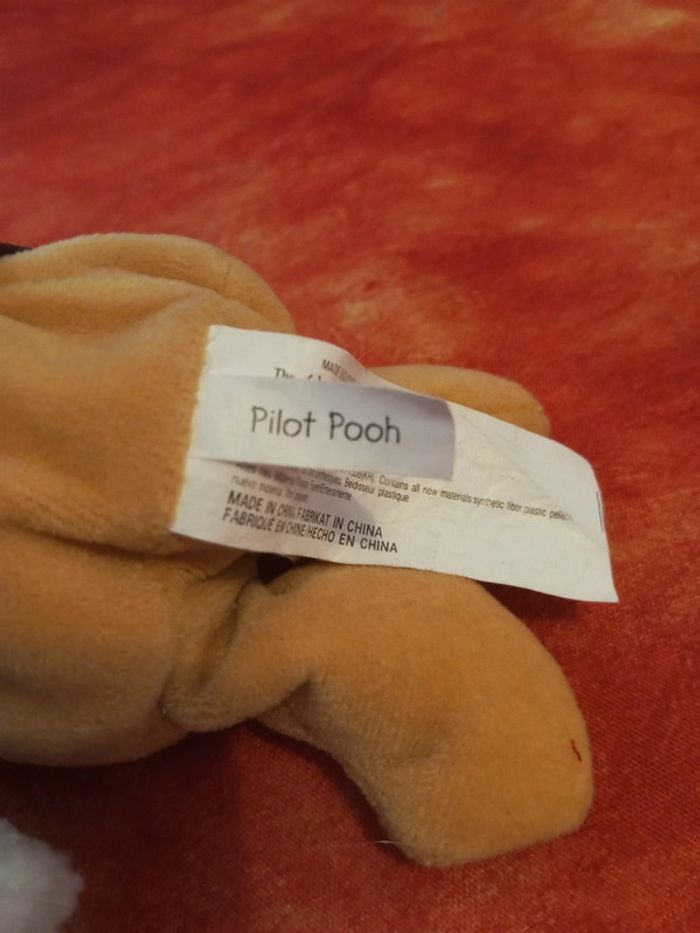 Winnie pooh pilot Pilote, Disney - photo numéro 4