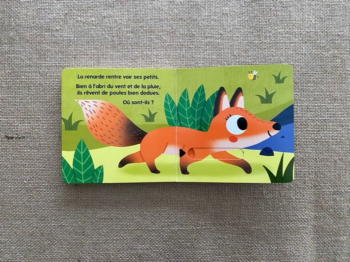 Livre Qui habite dans les bois ? Caché Trouvé Larousse Jeunesse - photo numéro 9